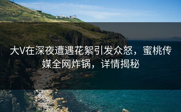 大V在深夜遭遇花絮引发众怒，蜜桃传媒全网炸锅，详情揭秘