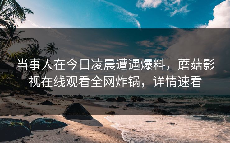 当事人在今日凌晨遭遇爆料，蘑菇影视在线观看全网炸锅，详情速看