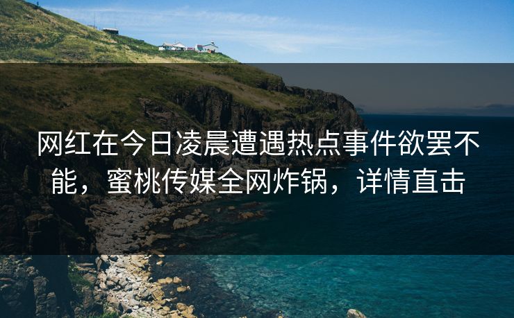 网红在今日凌晨遭遇热点事件欲罢不能，蜜桃传媒全网炸锅，详情直击